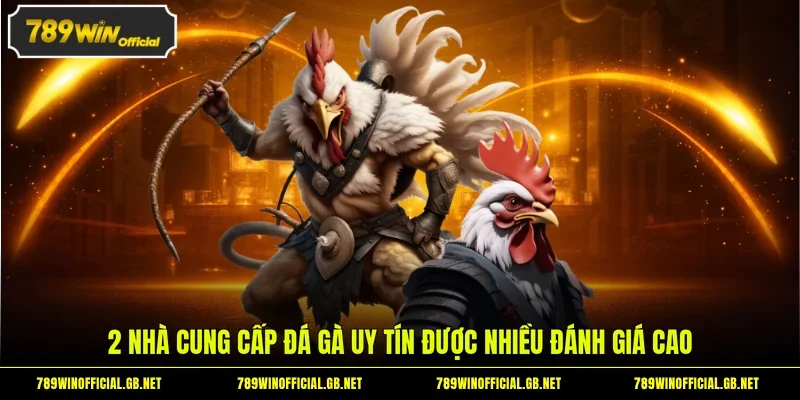 2 nhà cung cấp đá gà uy tín được nhiều đánh giá cao
