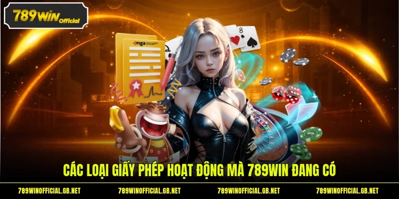 Các loại giấy phép hoạt động mà 789WIN đang có
