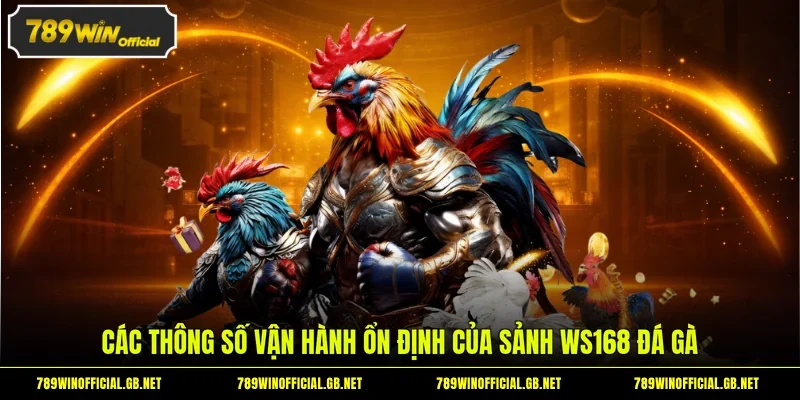 Các thông số vận hành ổn định của sảnh WS168 đá gà