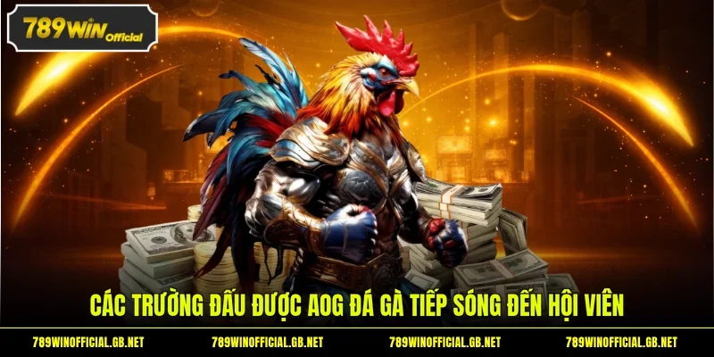 Các trường đấu được AOG đá gà tiếp sóng đến hội viên
