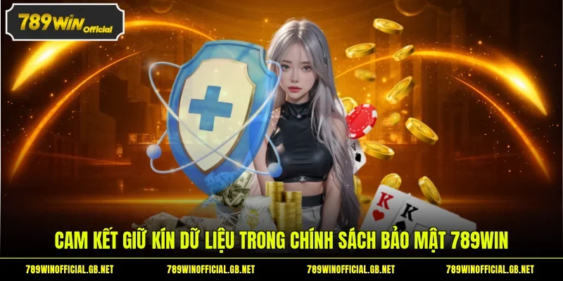 Cam kết giữ kín dữ liệu trong chính sách bảo mật 789WIN