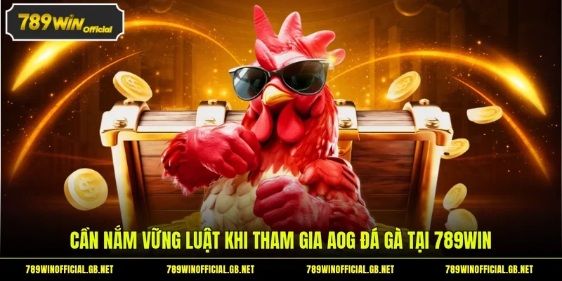Cần nắm vững luật khi tham gia AOG đá gà tại 789WIN