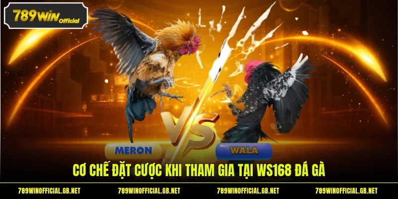 Cơ chế đặt cược khi tham gia tại WS168 đá gà