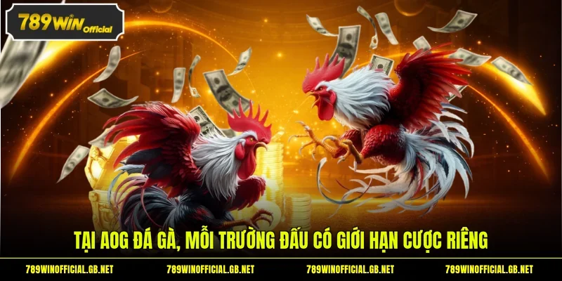 Tại AOG đá gà, mỗi trường đấu có giới hạn cược riêng