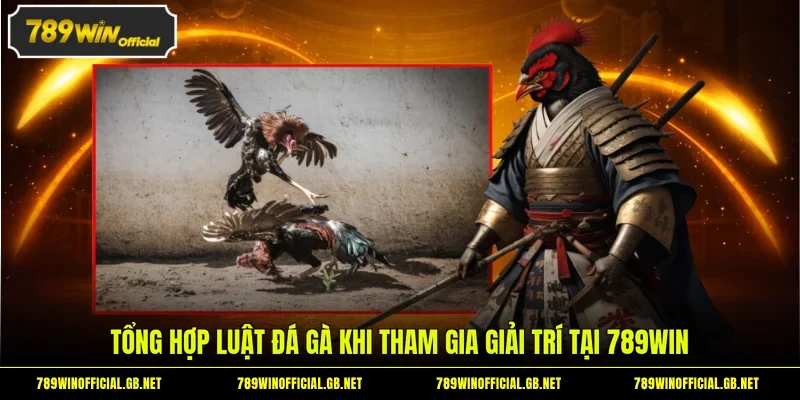 Tổng hợp luật đá gà khi tham gia giải trí tại 789WIN