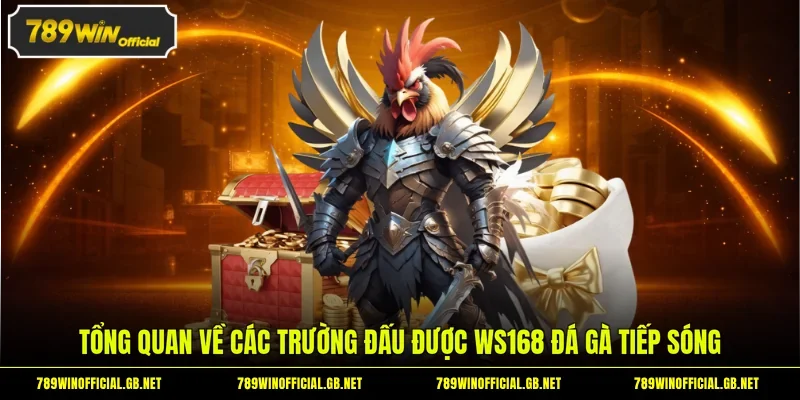 Tổng quan về các trường đấu được WS168 đá gà tiếp sóng